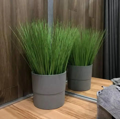 65CM Artificial Tropical Onion Grass Bundle – Faux Green Plant Decor