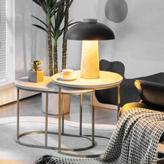 Modern Nesting Coffee Table Set of 2 with Marble Top