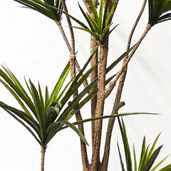 Large Artificial Dracaena Plant 90–120cm – Tropical Potted Tree