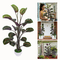 RIDDSEE 2.2FT Artificial Calathea Plant – Faux Peacock Plant with Pot