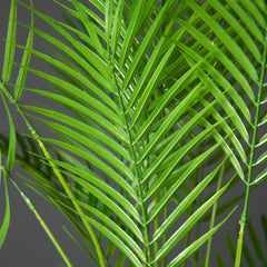 Large Artificial Tropical Palm Plant 50–120cm – Coconut Tree Decor