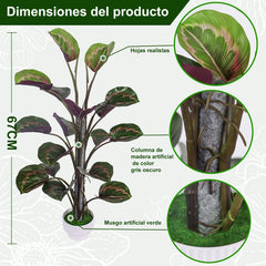 RIDDSEE 2.2FT Artificial Calathea Plant – Faux Peacock Plant with Pot